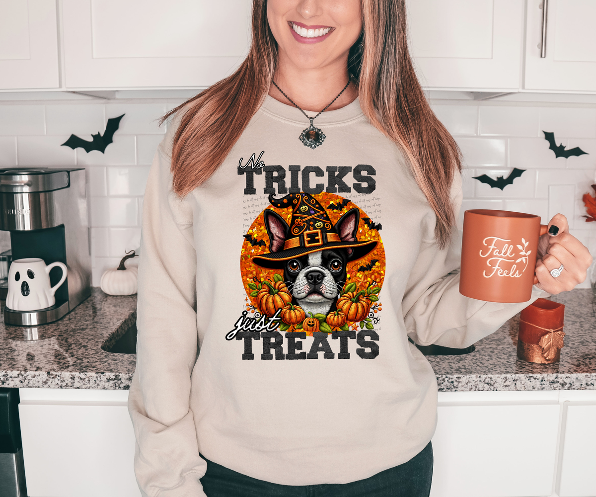 No Tricks Just Treats Boston Terrier 42810 DTF transfer
