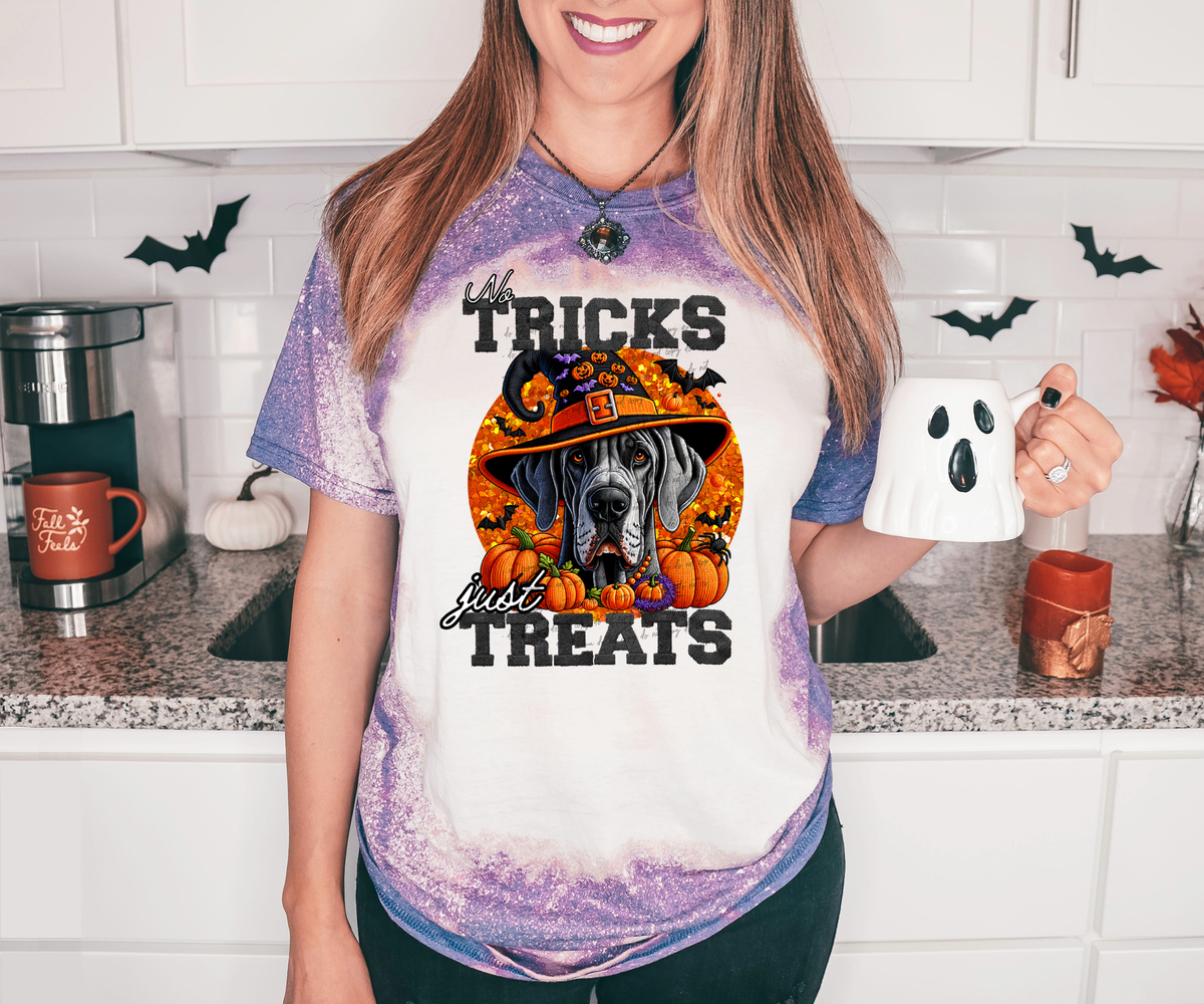 No Tricks Just Treats Great Dane 42819 DTF transfer