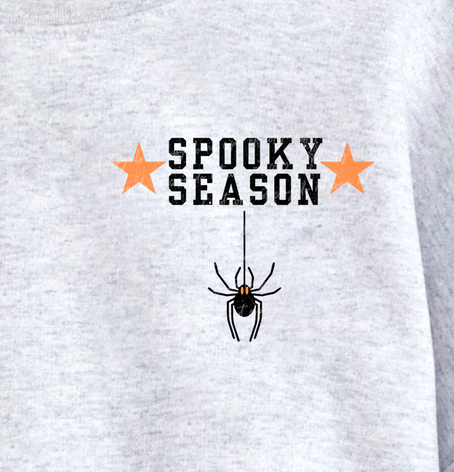October Spooky Town University POCKET PRINT 108411 DTF transfer
