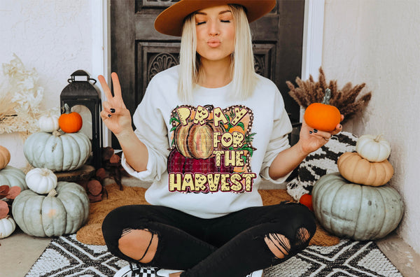 Pray for the harvest (stacked pumpkins) 2458 DTF TRANSFER