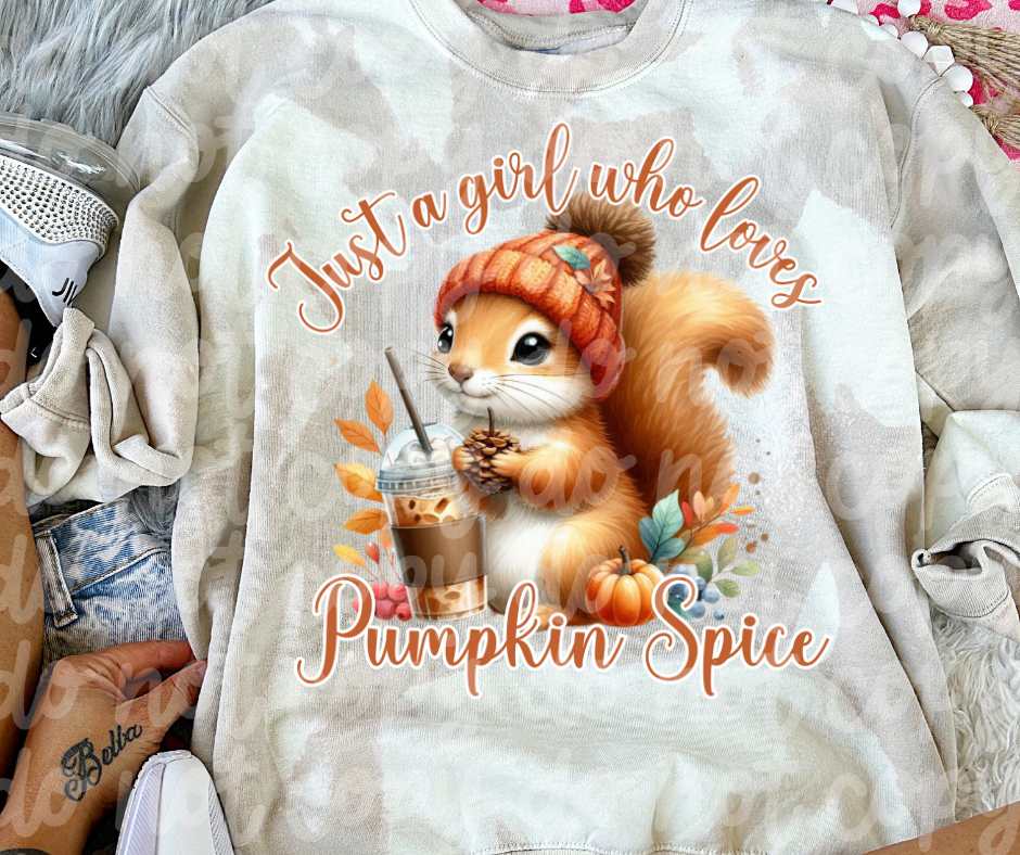 Just a girl who loves pumpkin spice squirrel (VS) 52216 DTF transfer