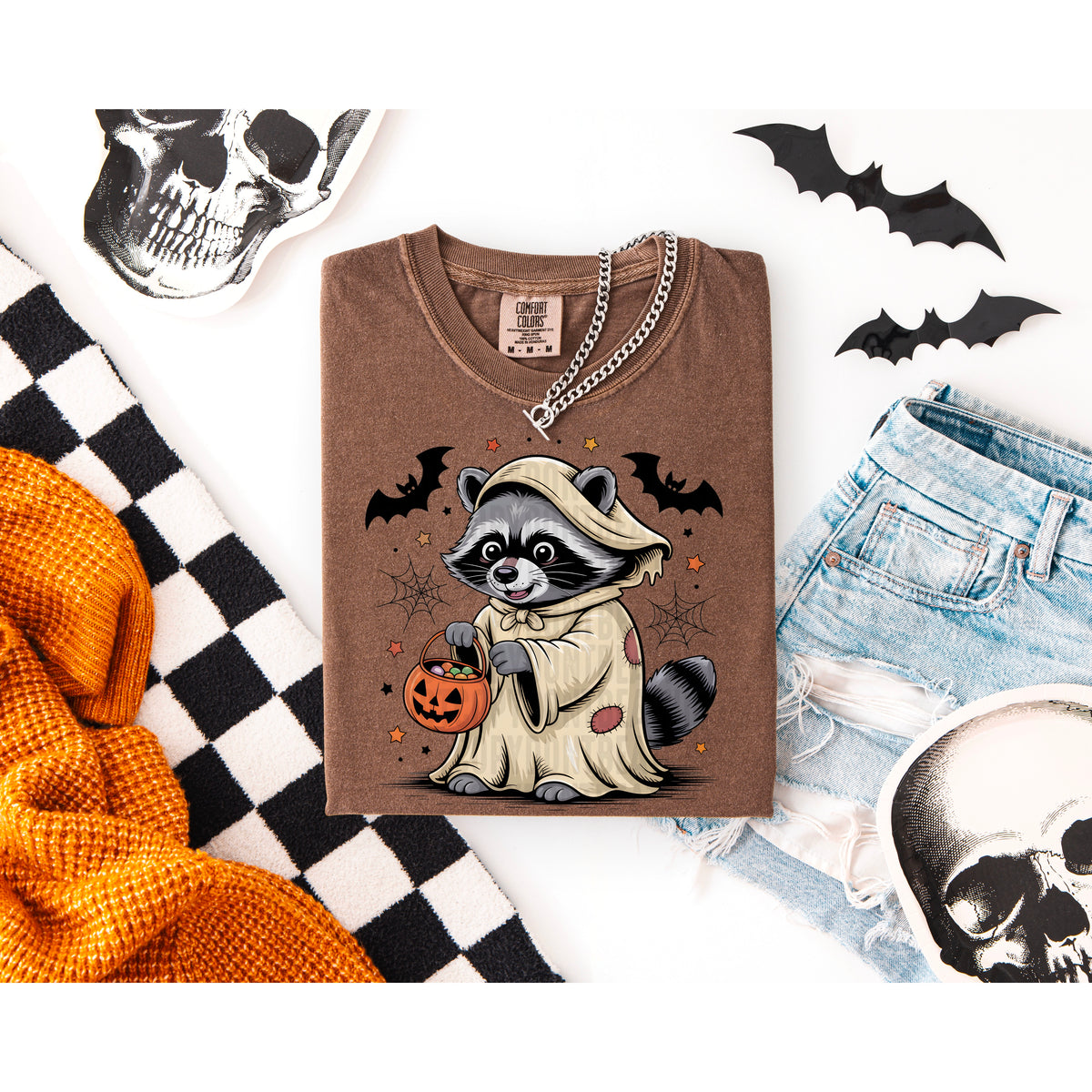 Racoon holding pumpkin 111153 DTF transfer