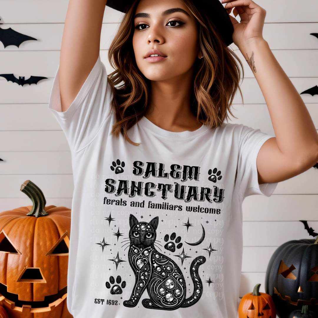 Salem sanctuary 44502 DTF transfer