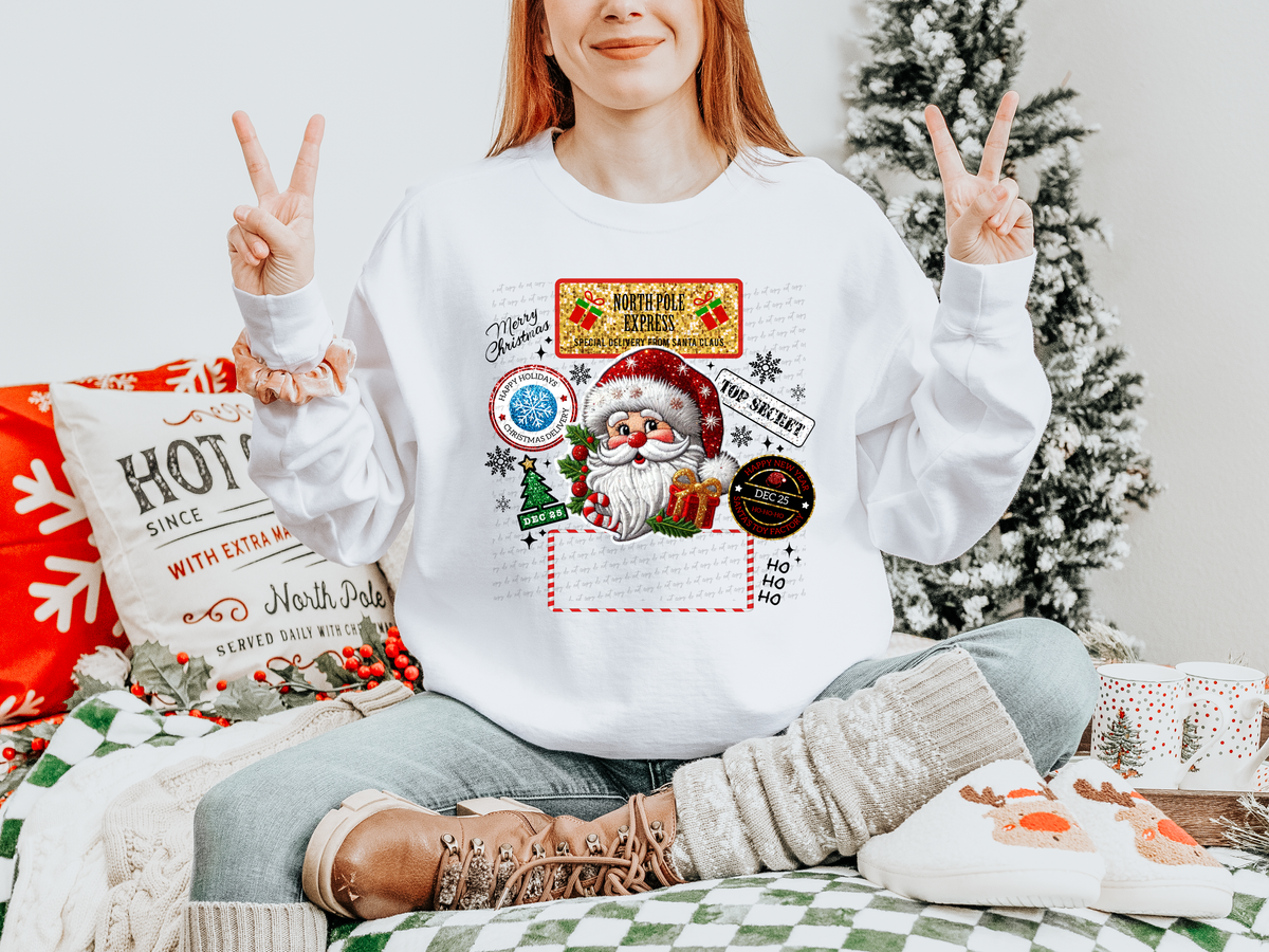 Santa Claus Gift Sack North Pole Express 69518 DTF transfer