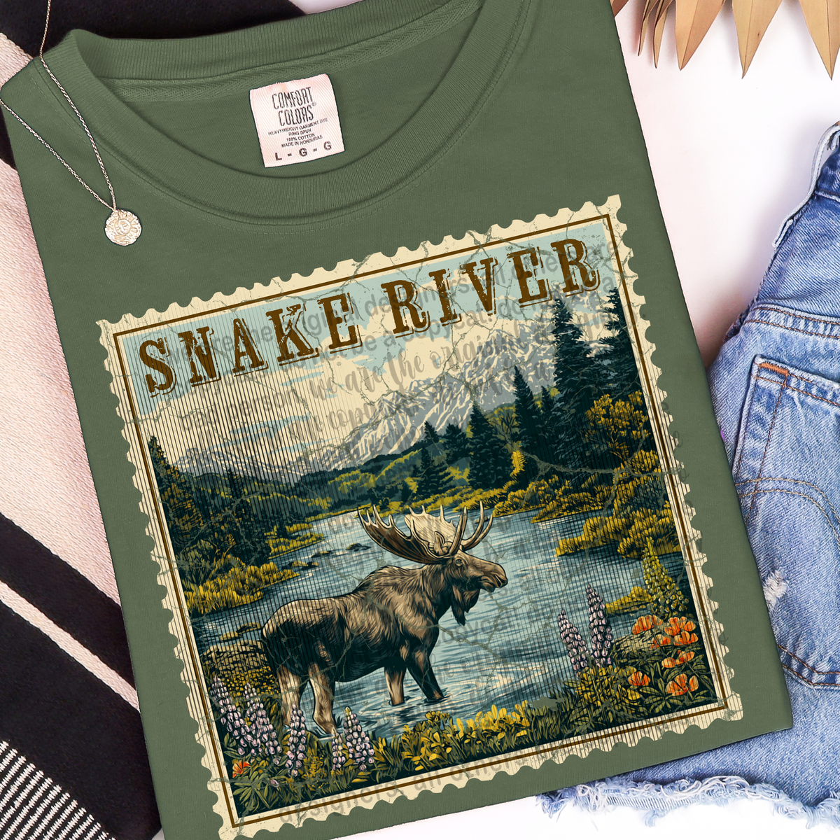 Snake River vintage stamp (TTD) DTF transfer