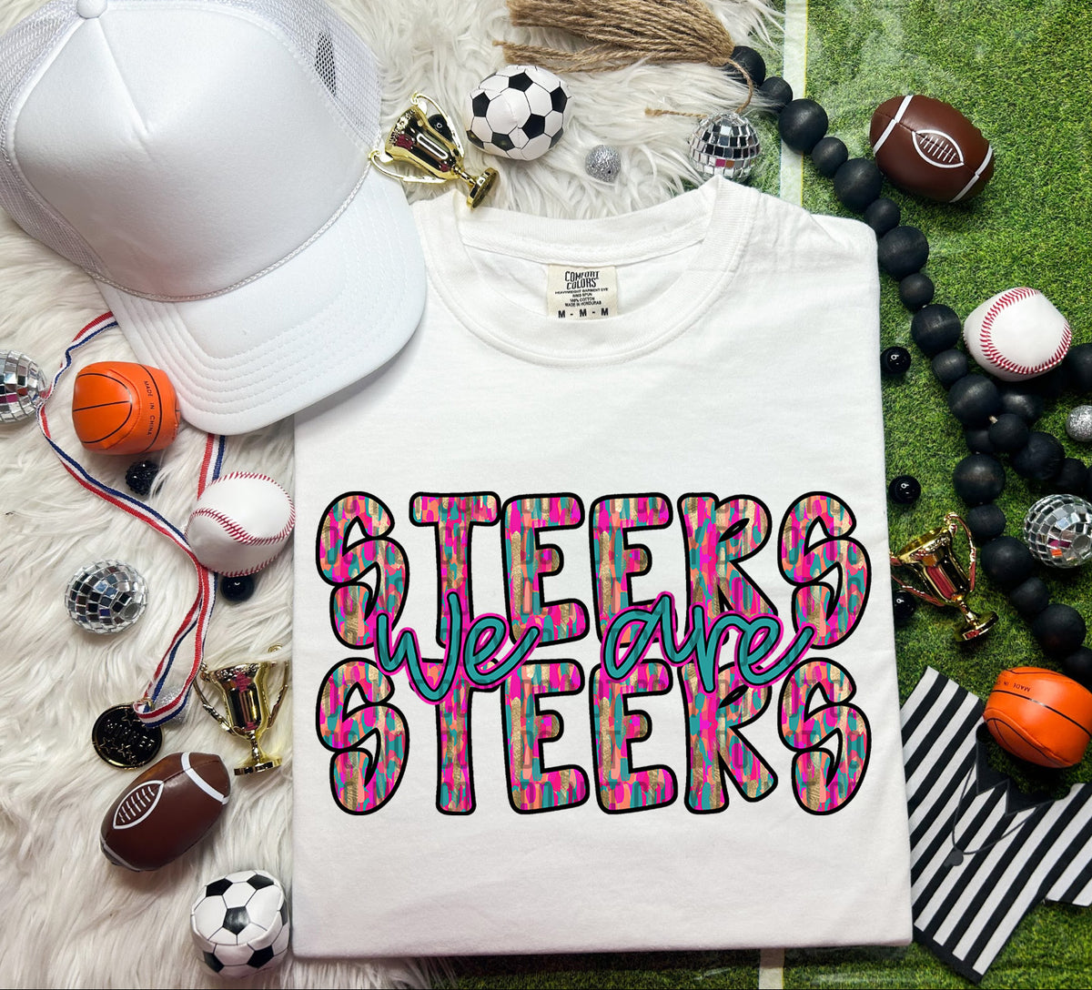 We Are Steers Brushstroke (CITY) 69773 DTF transfer