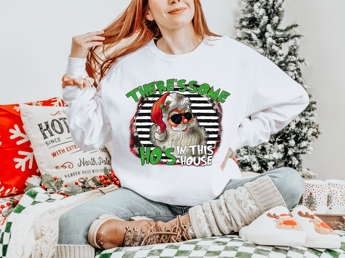 There's Some Ho's In This House Santa Stripe Background 116265 DTF Transfer