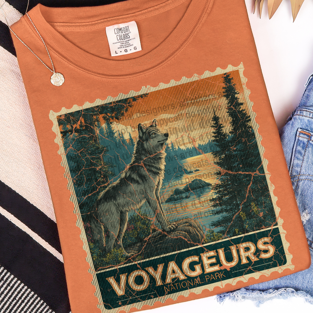 Voyageurs vintage stamp (TTD) DTF transfer