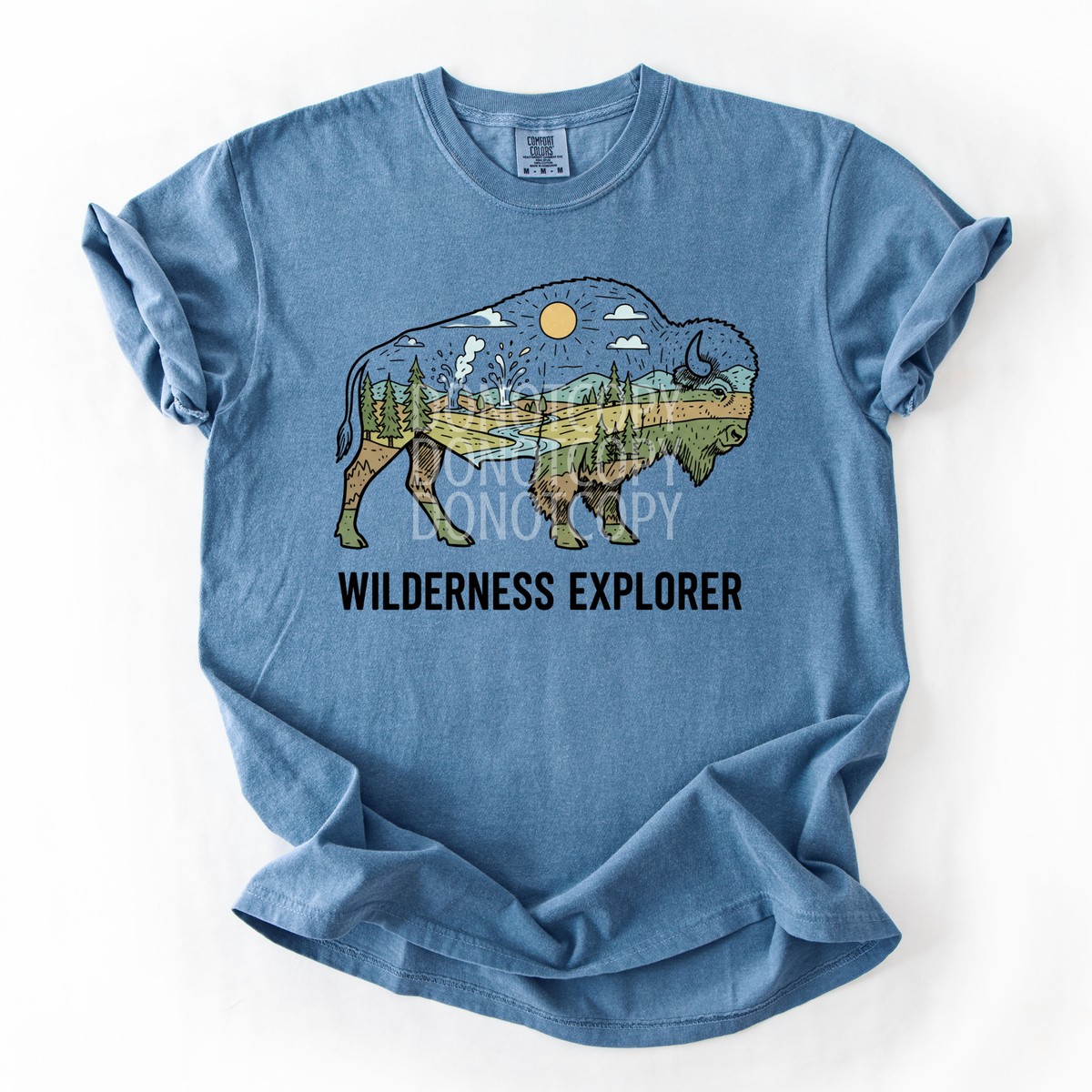 Wilderness explorer (CSG) DTF Transfer