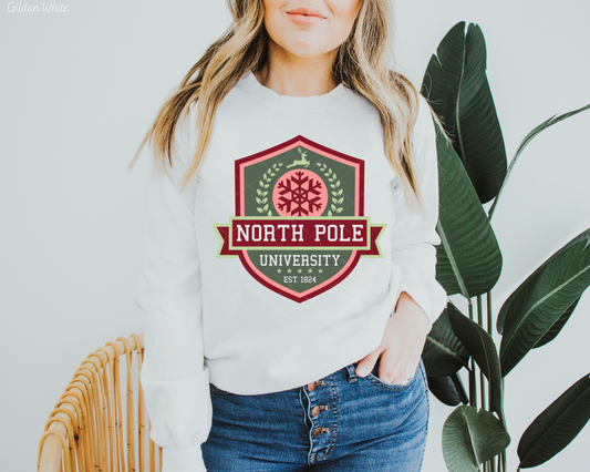 North Pole University EST.1824 Green Red DTF TRANSFER