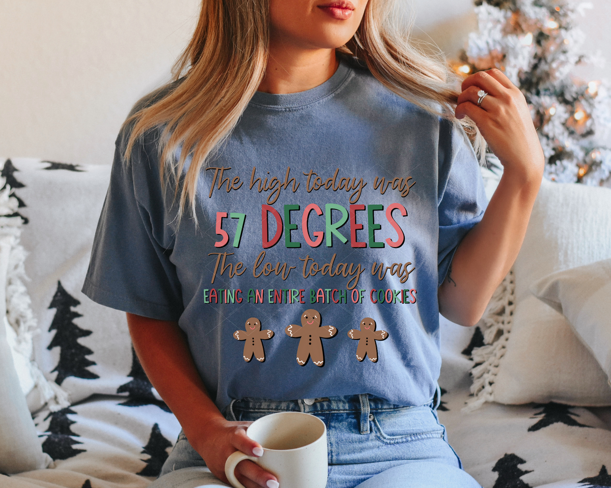 The high Today Was 57 Degrees The Low Today Was Eating An Entire Batch Of Cookies Gingerbread Man 245 DTF TRANSFER