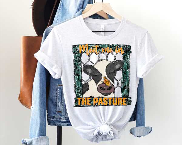 Meet Me In The Pasture (cow, turquoise frame, chicken wire background, yellow lettering) DTF TRANSFER