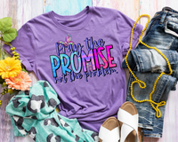 Pray the Promise Not The Problem. (purple and multi color lettering, butterflies) DTF TRANSFER