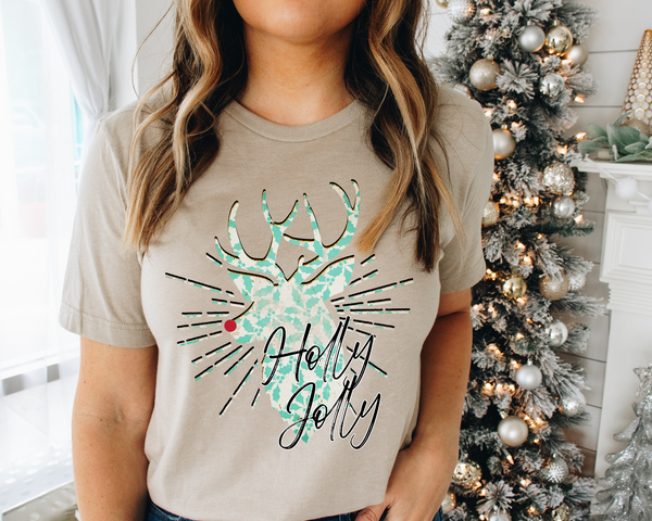 Holly Jolly Reindeer Teal Red Nose 1129 DTF TRANSFER