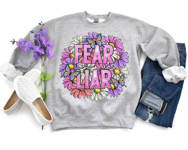 Fear Is A Liar (bright color daisies, butterflies, pink block lettering distressed) 8926 DTF Transfer