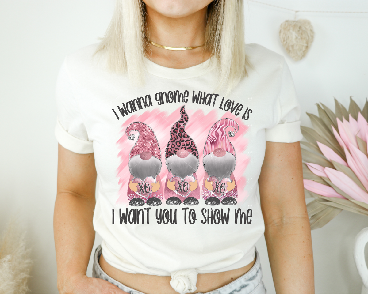 I Wanna Gnome What Love Is, I Want You To Show Me (three pink gnomes filled with glitter, leopard print, zebra stripes) 1443 DTF TRANSFER