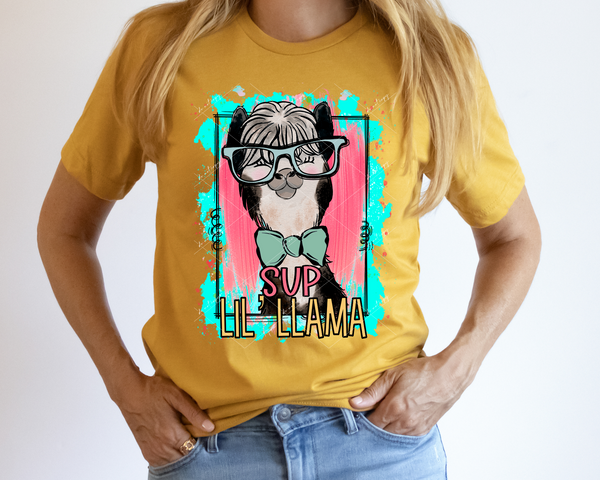 Sup Lil'Llama (llama with glasses, bright coral and teal background, black line frame) 1858 DTF TRANSFER
