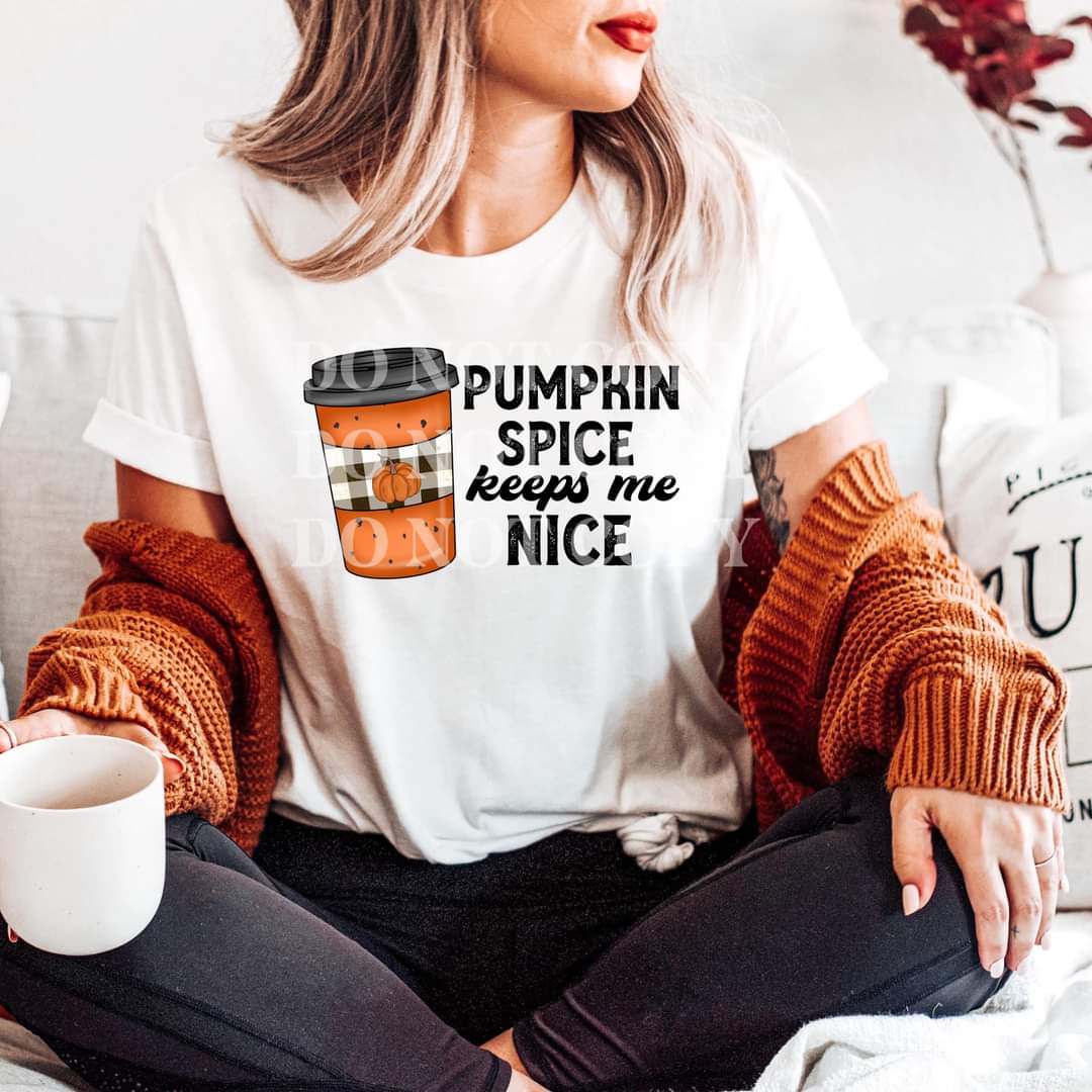 Pumpkin spice keeps me nice DTF transfer