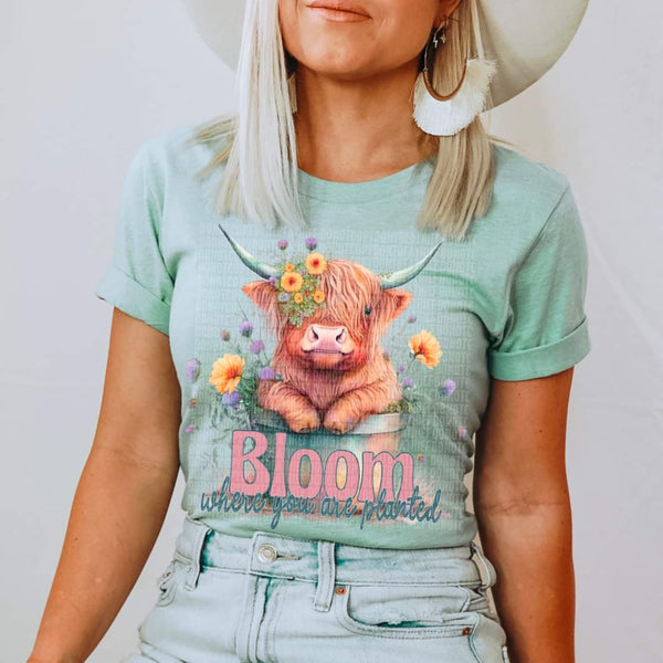 Bloom where you are planted shaggy cow with sunflowers DTF TRANSFER