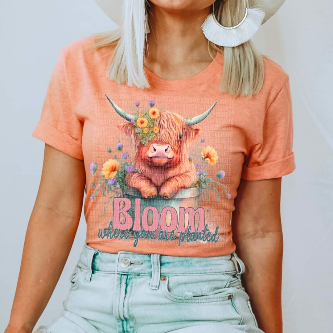 Bloom where you are planted shaggy cow with sunflowers DTF TRANSFER