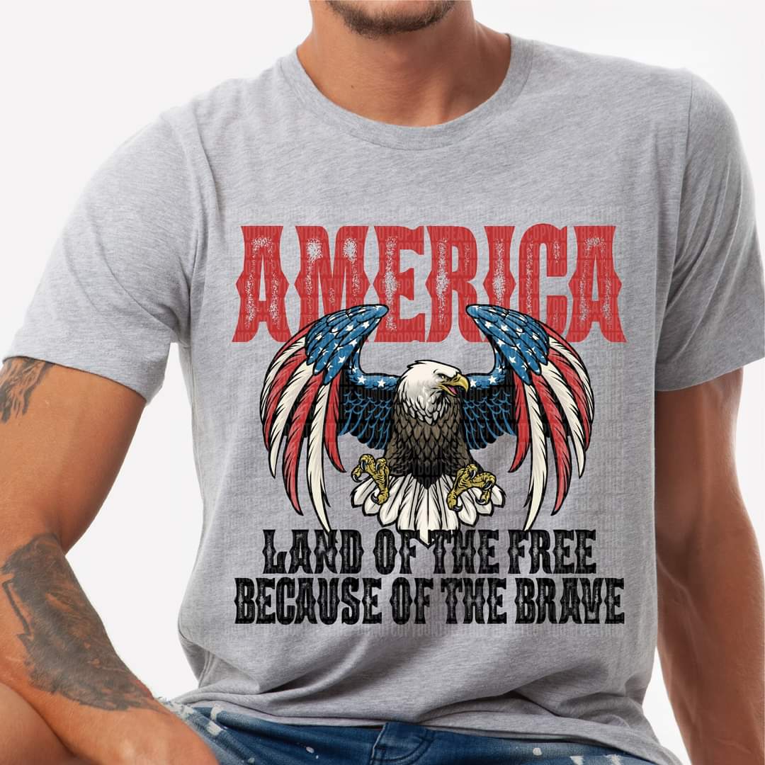 America land of the free because for the brave patriotic eagle 112184 DTF Transfer
