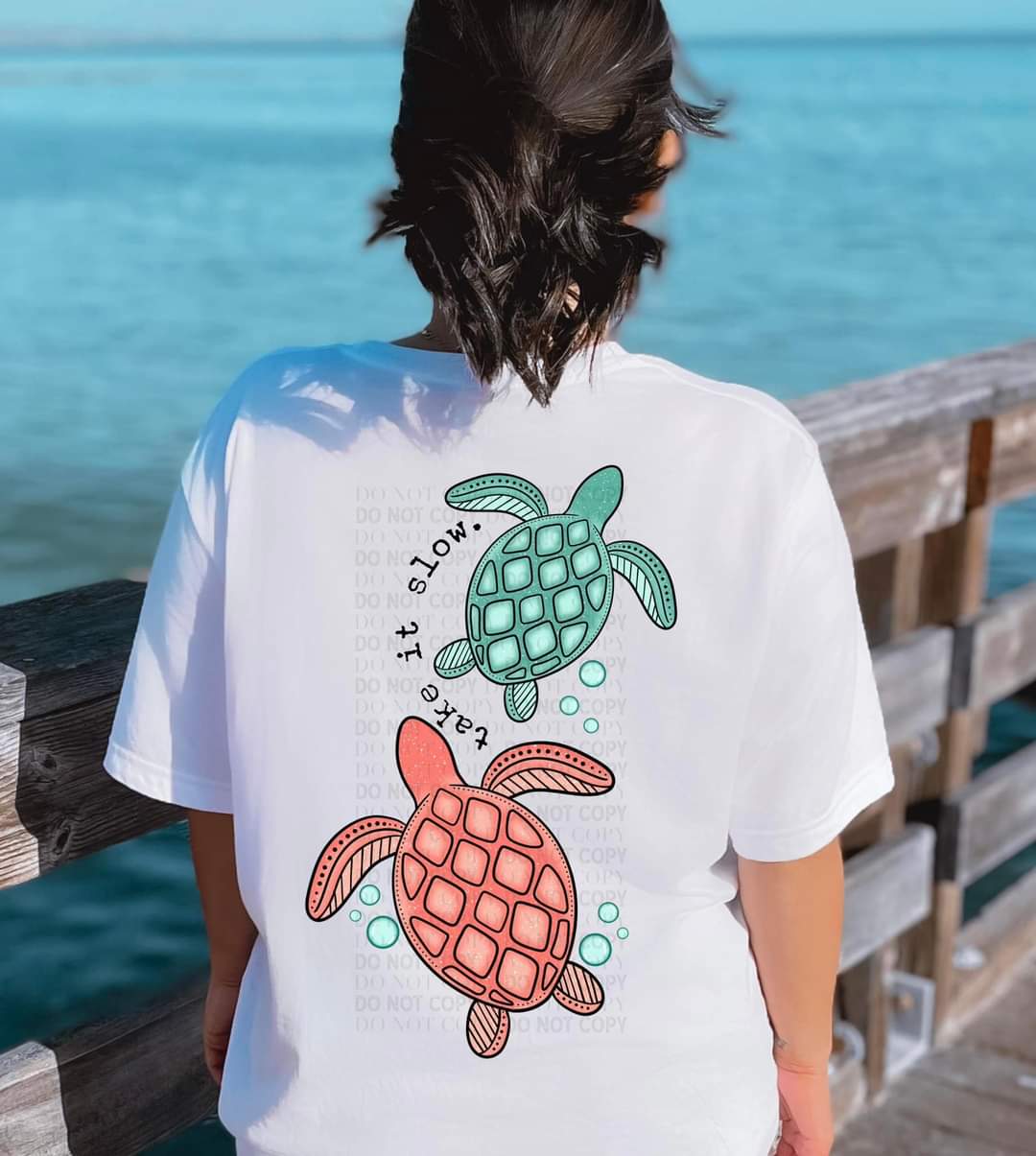 Take it slow turtles 010 DTF Transfer