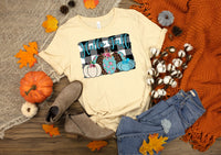 Hello fall/Plaid pumpkins HIGH HEAT screen print transfer