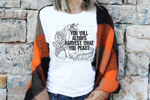 You will always harvest what you plant BLACK screen print transfer