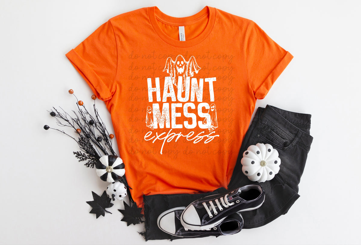 Haunt Mess express WHITE screen print transfer