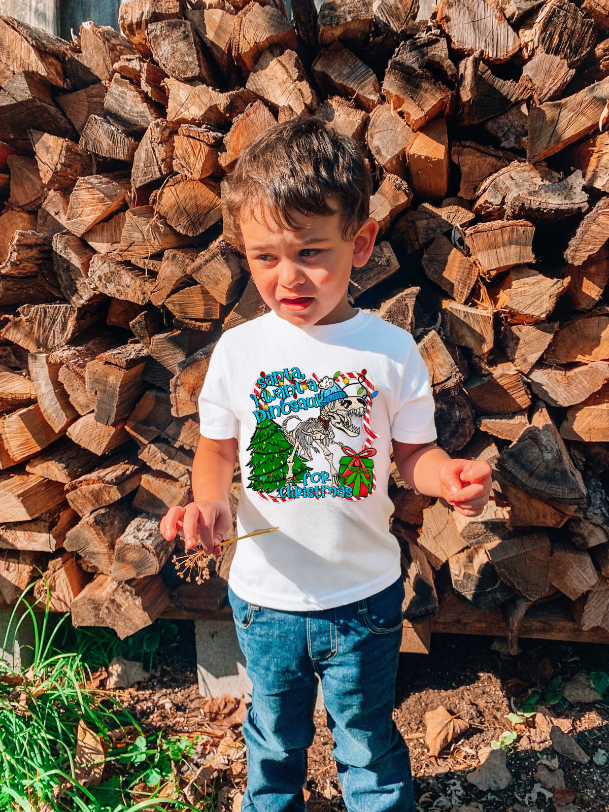 Santa I want a dinosaur for Christmas 8736 DTF TRANSFER