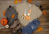 Fall gnomes (3 pumpkins 1 polkadot hat)  DTF TRANSFER